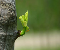 �������������������������ڻ��